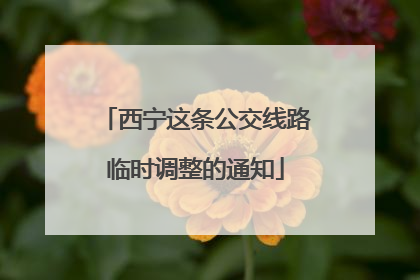 西宁这条公交线路临时调整的通知