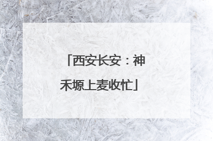 西安长安：神禾塬上麦收忙