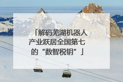 解码芜湖机器人产业跃居全国第七的“数智税钥”