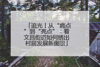追光丨从“痛点”到“亮点”：看文昌街道如何绣出村居发展新图景