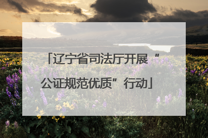 辽宁省司法厅开展“公证规范优质”行动
