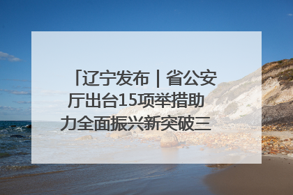 辽宁发布｜省公安厅出台15项举措助力全面振兴新突破三年行动决胜之战