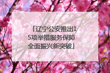 辽宁公安推出15项举措服务保障全面振兴新突破