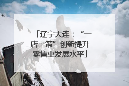 辽宁大连：“一店一策”创新提升零售业发展水平