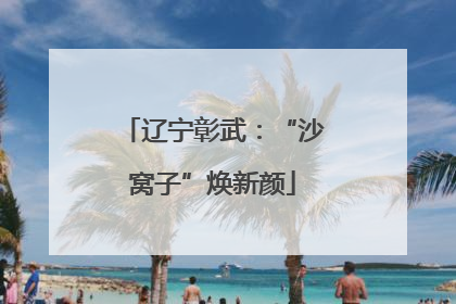 辽宁彰武：“沙窝子”焕新颜