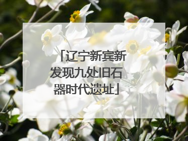 辽宁新宾新发现九处旧石器时代遗址