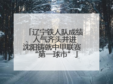 辽宁铁人队成绩、人气齐头并进 沈阳铸就中甲联赛“第一球市”