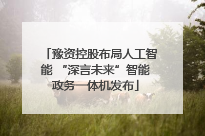 豫资控股布局人工智能 “深言未来”智能政务一体机发布