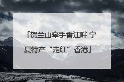 贺兰山牵手香江畔 宁夏特产“走红”香港