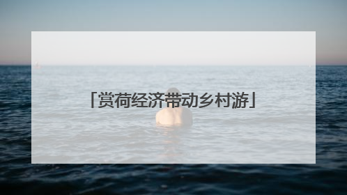赏荷经济带动乡村游