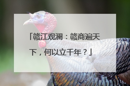 赣江观澜：赣商遍天下，何以立千年？