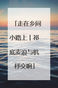走在乡间小路上丨祁底麦浪与机杼交响
