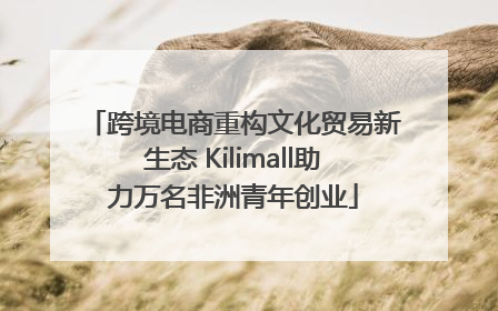 跨境电商重构文化贸易新生态 Kilimall助力万名非洲青年创业