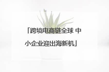 跨境电商链全球 中小企业迎出海新机