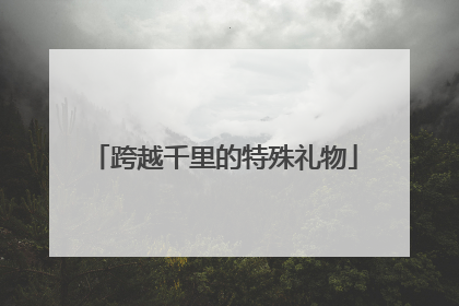 跨越千里的特殊礼物