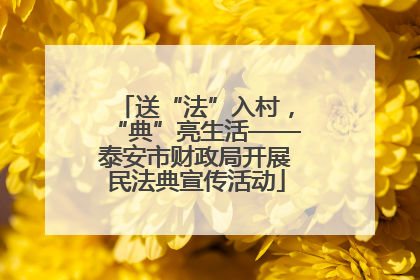 送“法”入村，“典”亮生活——泰安市财政局开展民法典宣传活动