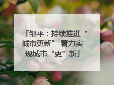 邹平：持续推进“城市更新” 着力实现城市“更”新