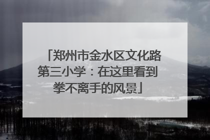 郑州市金水区文化路第三小学：在这里看到拳不离手的风景