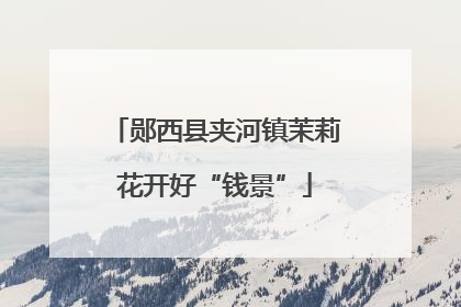 郧西县夹河镇茉莉花开好“钱景”