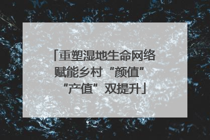 重塑湿地生命网络 赋能乡村“颜值”“产值”双提升