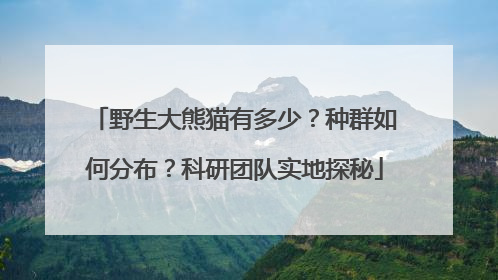 野生大熊猫有多少？种群如何分布？科研团队实地探秘