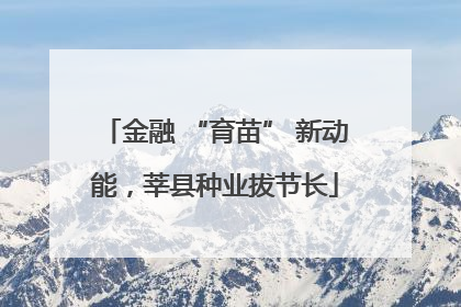 金融 “育苗” 新动能，莘县种业拔节长