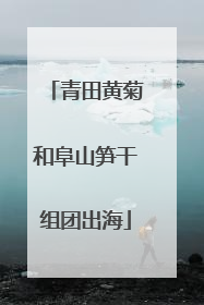青田黄菊和阜山笋干组团出海