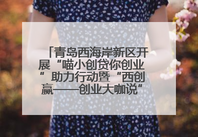 青岛西海岸新区开展“喵小创贷你创业”助力行动暨“西创赢——创业大咖说”主题活动