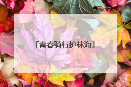 青春骑行护林海