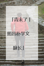青未了丨照邑朴学文脉长