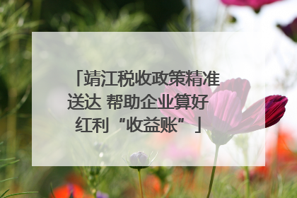靖江税收政策精准送达 帮助企业算好红利“收益账”