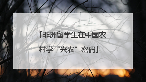 非洲留学生在中国农村学“兴农”密码