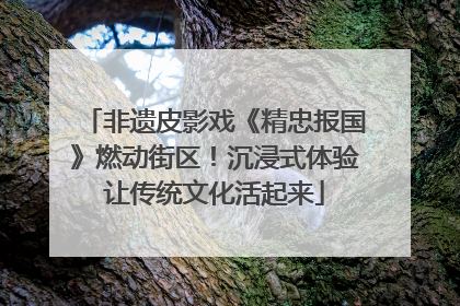 非遗皮影戏《精忠报国》燃动街区！沉浸式体验让传统文化活起来