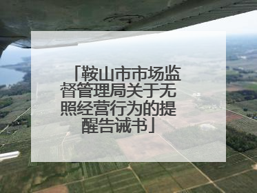 鞍山市市场监督管理局关于无照经营行为的提醒告诫书
