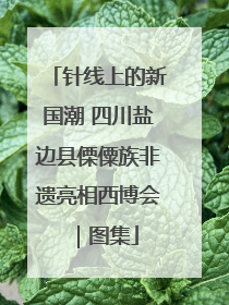 针线上的新国潮 四川盐边县傈僳族非遗亮相西博会｜图集