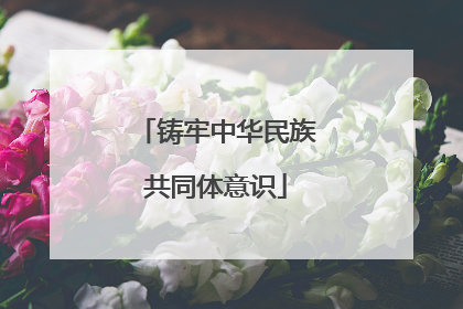 铸牢中华民族共同体意识