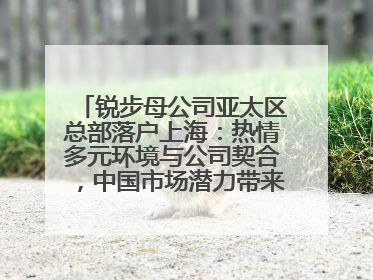 锐步母公司亚太区总部落户上海：热情多元环境与公司契合，中国市场潜力带来重要机遇