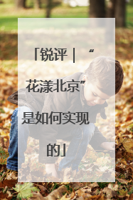 锐评｜“花漾北京”是如何实现的