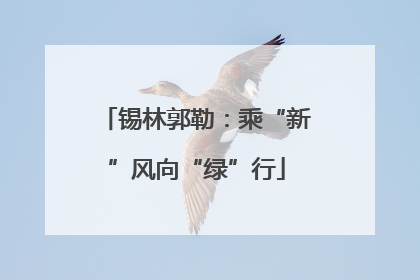 锡林郭勒：乘“新”风向“绿”行