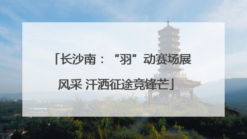 长沙南：“羽”动赛场展风采 汗洒征途竞锋芒