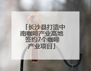 长沙县打造中南咖啡产业高地 签约7个咖啡产业项目