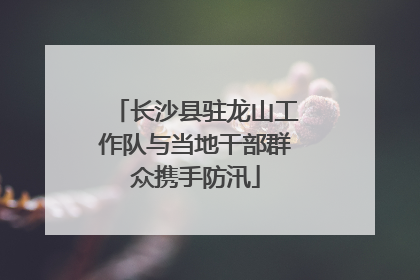 长沙县驻龙山工作队与当地干部群众携手防汛