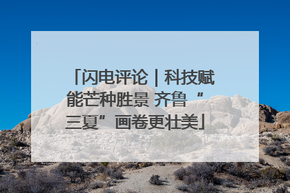 闪电评论｜科技赋能芒种胜景 齐鲁“三夏”画卷更壮美