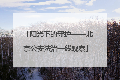 阳光下的守护——北京公安法治一线观察