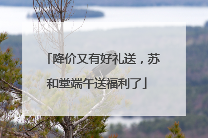 降价又有好礼送，苏和堂端午送福利了