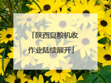 陕西夏粮机收作业陆续展开