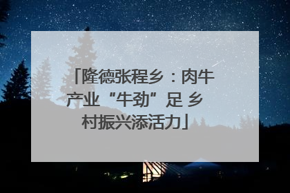 隆德张程乡：肉牛产业“牛劲”足 乡村振兴添活力