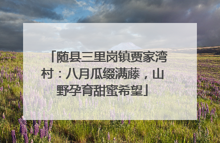 随县三里岗镇贾家湾村：八月瓜缀满藤，山野孕育甜蜜希望