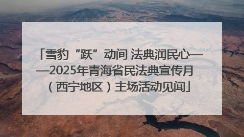 雪豹“跃”动间 法典润民心——2025年青海省民法典宣传月（西宁地区）主场活动见闻