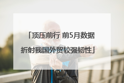 顶压前行 前5月数据折射我国外贸较强韧性
